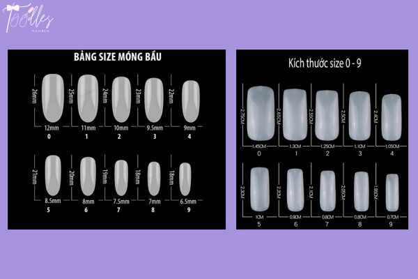 cach-chon-size-nail-box-chuan-sau-khi-do-mong