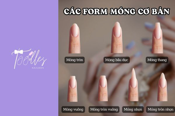 cac-form-mong-tay-co-ban