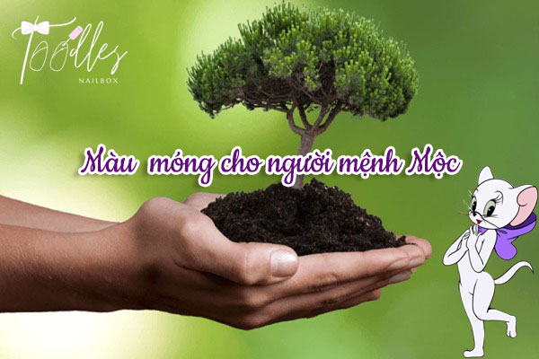 Màu móng hợp mệnh Mộc