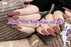 Màu sắc hợp với người mệnh Mộc